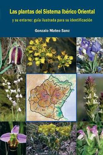 Cover image for Las plantas silvestres del Sistema IbZrico Oriental y su entorno: gu'a ilustrada para su identificaci-n