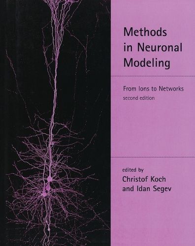 Methods in Neuronal Modeling: From Ions to Networks