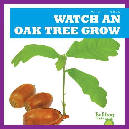 Cover image for Watch an Oak Tree Grow