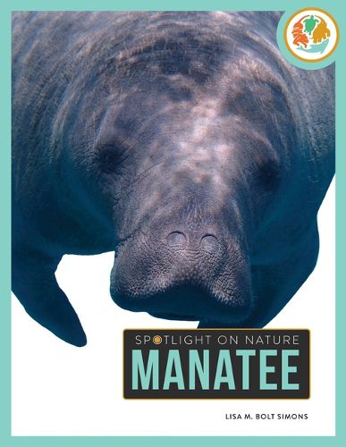 Cover image for Manatee