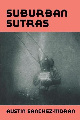 Cover image for Suburban Sutras