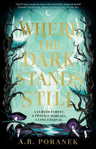 Cover image for Where the Dark Stands Still