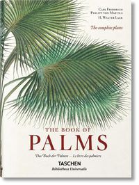 Cover image for Martius. The Book of Palms
