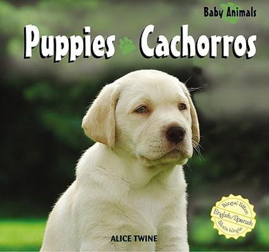 Cover image for Puppies / Cachorros