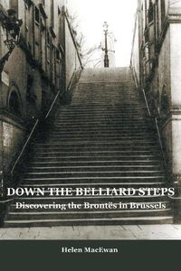 Cover image for Down The Belliard Steps