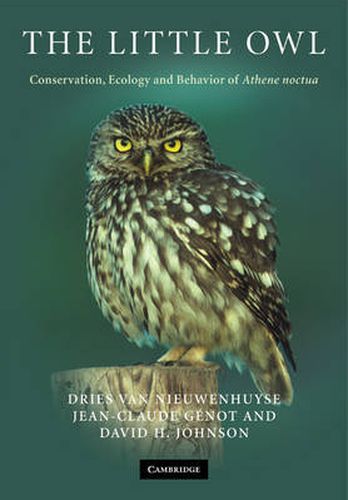 The Little Owl: Conservation, Ecology and Behavior of Athene Noctua