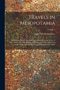 Cover image for Travels in Mesopotamia