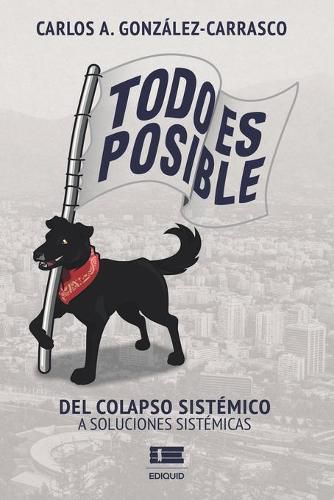 Cover image for Todo es posible: Del colapso sistemico a soluciones sistemicas