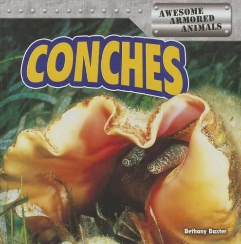 Cover image for Conches