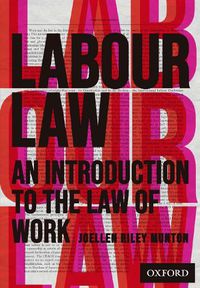 Cover image for Labour Law: An Introduction to the Law of Work