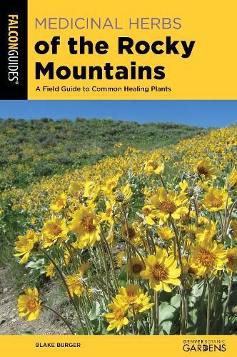 Cover image for Medicinal Herbs of the Rocky Mountains: A Field Guide to Common Healing Plants