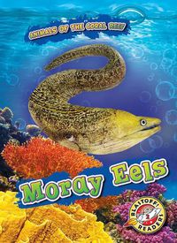 Cover image for Moray Eels