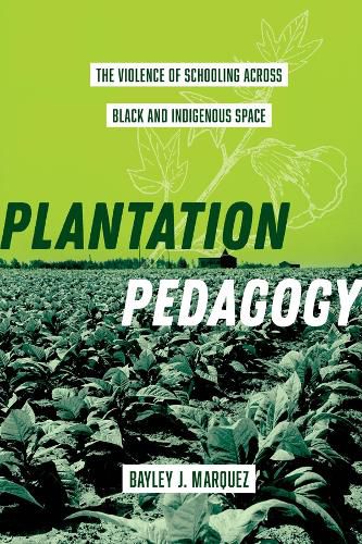 Cover image for Plantation Pedagogy