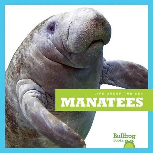 Cover image for Manatees