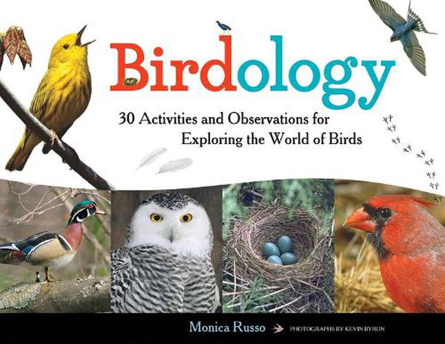 Cover image for Birdology: 30 Activities and Observations for Exploring the World of Birds