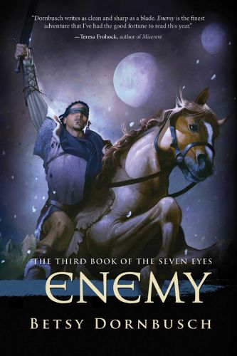 Cover image for Enemy: The Third Book of the Seven Eyes