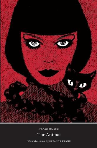 Cover image for The Animal