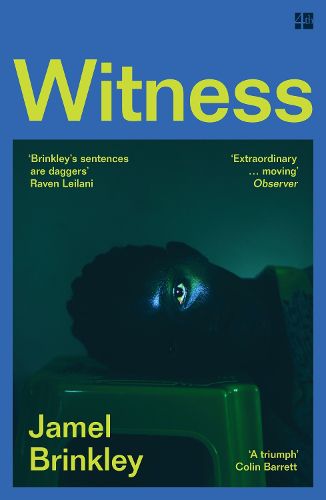 Cover image for Witness