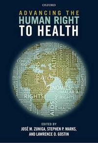 Cover image for Advancing the Human Right to Health