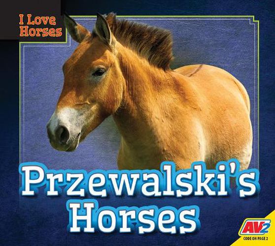 Przewalski's Horses