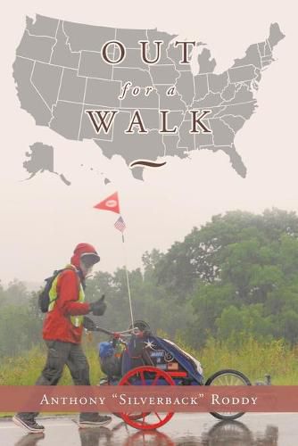 Cover image for Out for a Walk