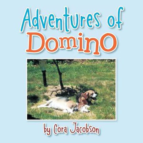 Cover image for Adventures of Domino: A True Story