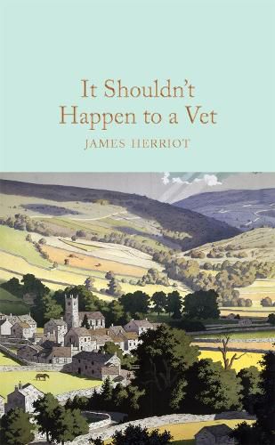 Cover image for It Shouldn't Happen to a Vet