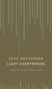 Cover image for Light Everywhere