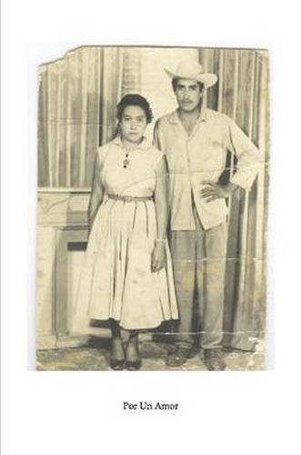 Cover image for Por Un Amor