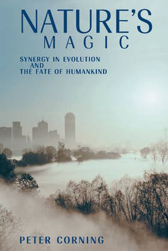 Cover image for Nature's Magic: Synergy in Evolution and the Fate of Humankind