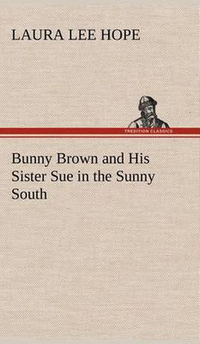 Bunny Brown and His Sister Sue in the Sunny South