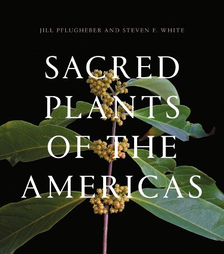 Cover image for Sacred Plants of the Americas