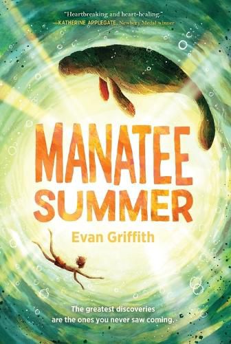 Cover image for Manatee Summer