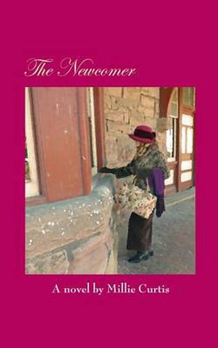 Cover image for The Newcomer