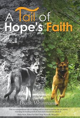 Cover image for A Tail of Hope's Faith