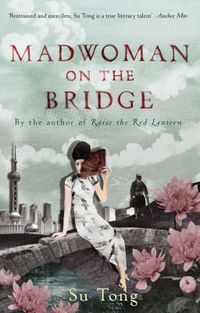 Cover image for Madwoman on the Bridge and Other Stories