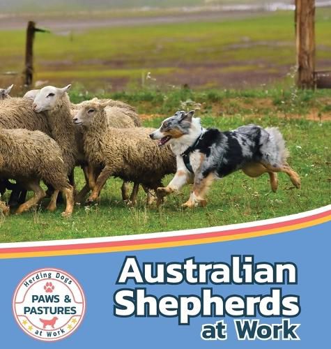 Australian Shepherds at Work