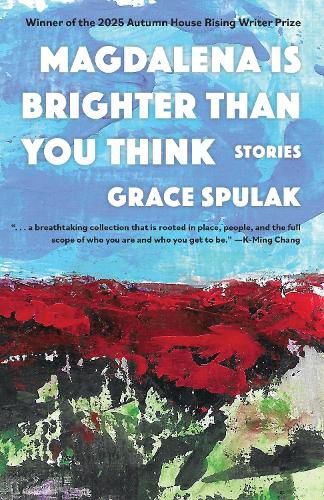 Cover image for Magdalena Is Brighter than You Think