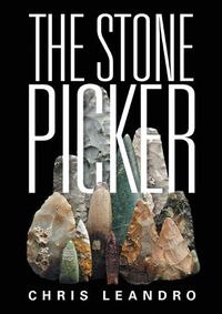 Cover image for The Stone Picker