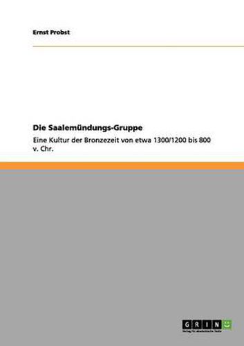 Cover image for Die Saalemundungs-Gruppe: Eine Kultur der Bronzezeit von etwa 1300/1200 bis 800 v. Chr.
