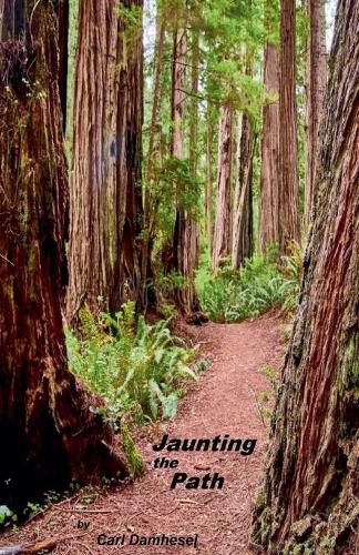Cover image for Jaunting the Path