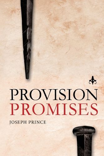 Cover image for Provision Promises