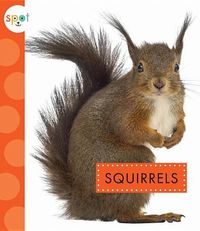 Cover image for Squirrels