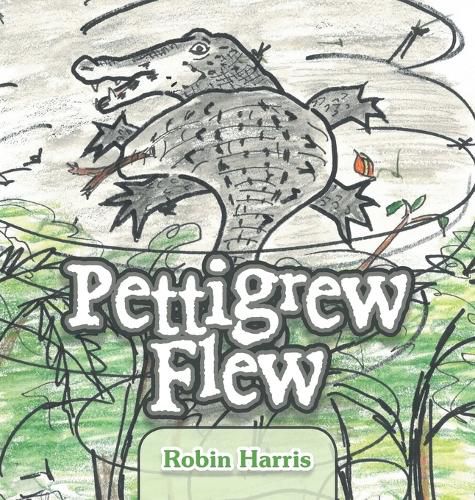 Cover image for Pettigrew Flew