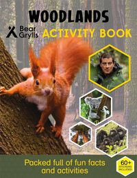 Cover image for Bear Grylls Sticker Activity: Woodlands