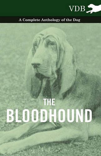 Cover image for The Bloodhound - A Complete Anthology of the Dog -