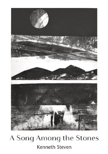 Cover image for A Song Among the Stones