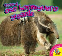 Cover image for El Oso Hormiguero Gigante