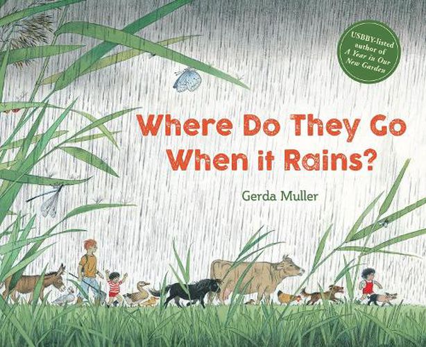 Cover image for Where Do They Go When It Rains?