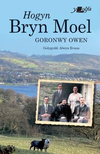 Cover image for Hogyn Bryn Moel